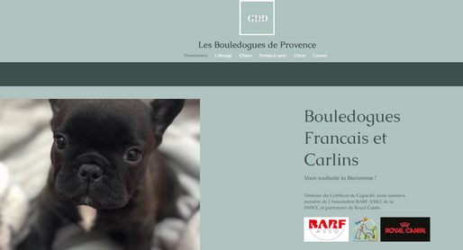 Bulldog breeding - Var