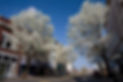 Cherries-on-state-street-bristol-tn-va
