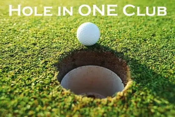 Hole in One Club DT Golf.webp