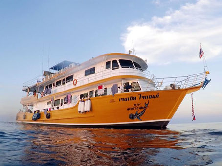 Gentle Giant Liveaboard