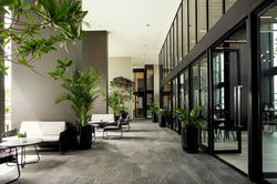 NUE Noble Sri-Lasalle 237877