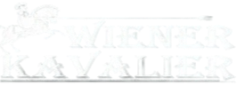 logo_edited.png