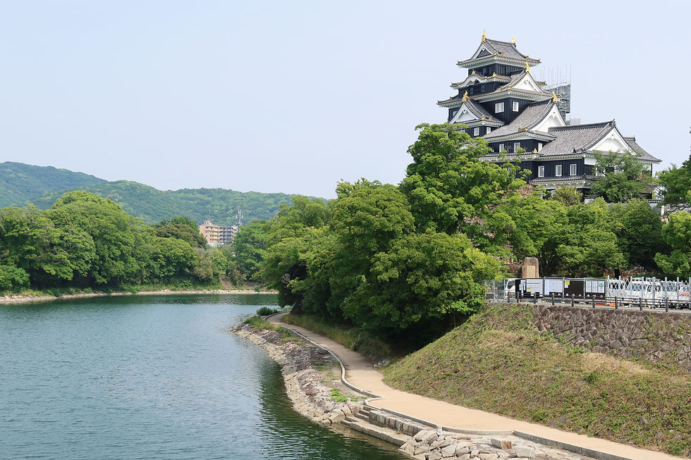 Shizuoka.jpg