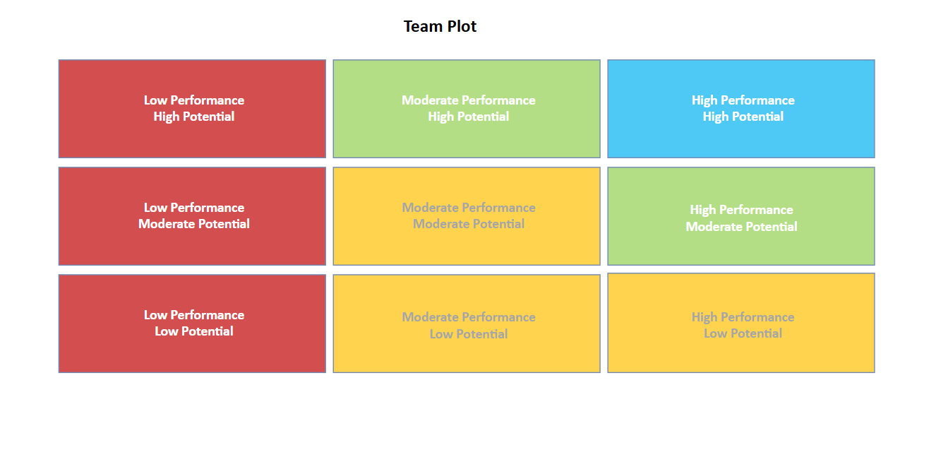 McKinsey 9 Box Talent Grid