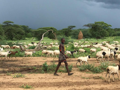 Updates from Ethiopia: Days 10-15