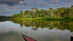 Lake Sandoval is a beautiful oxbow lake located in the Tambopata National Reserve in the M