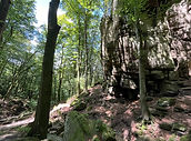 IMG_9537.JPEG