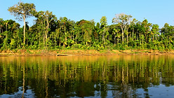 Madre de Dios in Selva Peru.jpg
