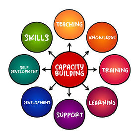capacity building 1.jpg