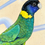 Thumbnail: Ringneck Parrot 1