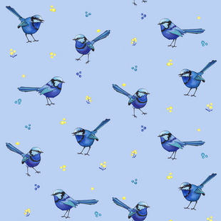 Blue wren on wattle 2 small.png