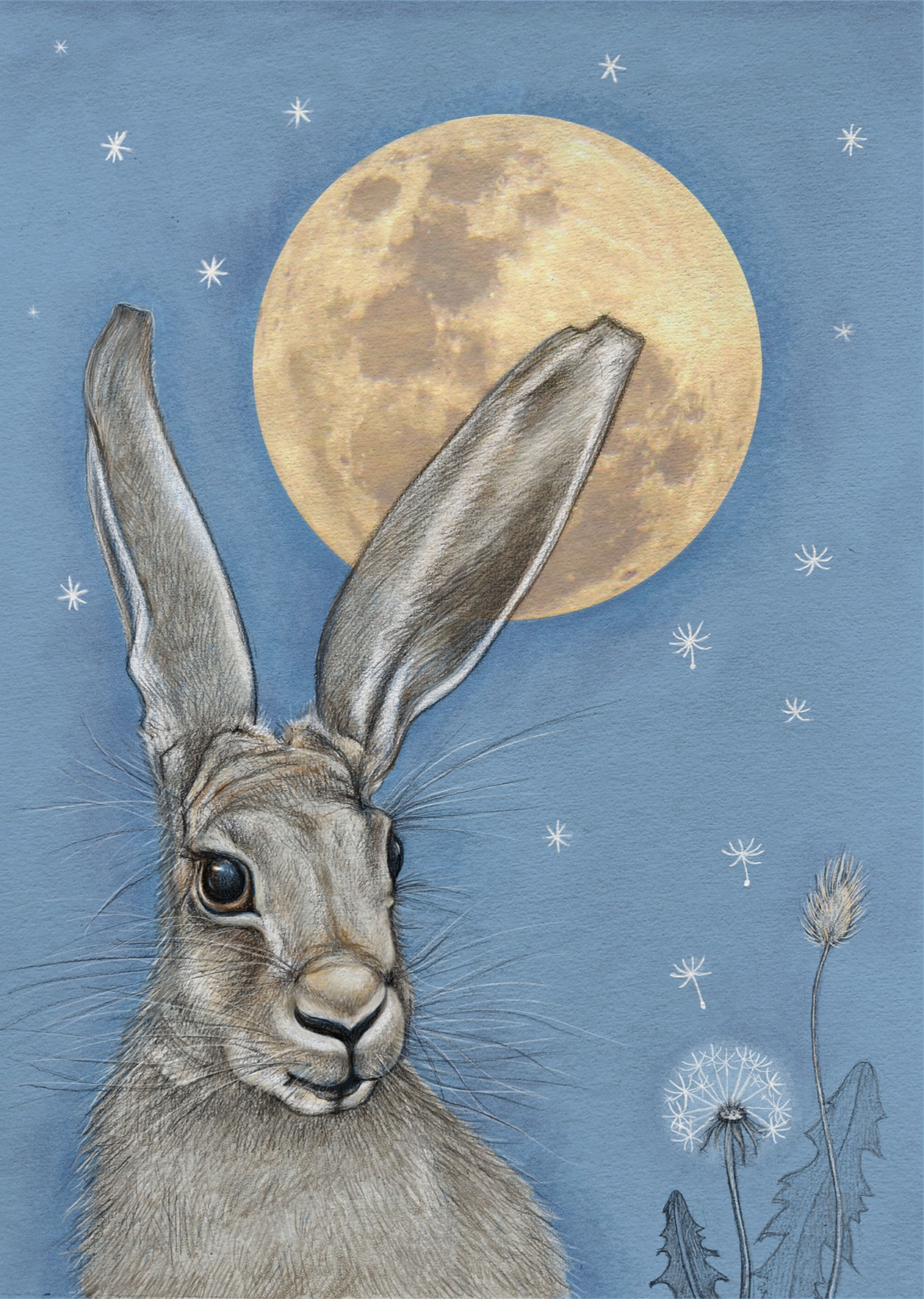 The Hare and the Moon