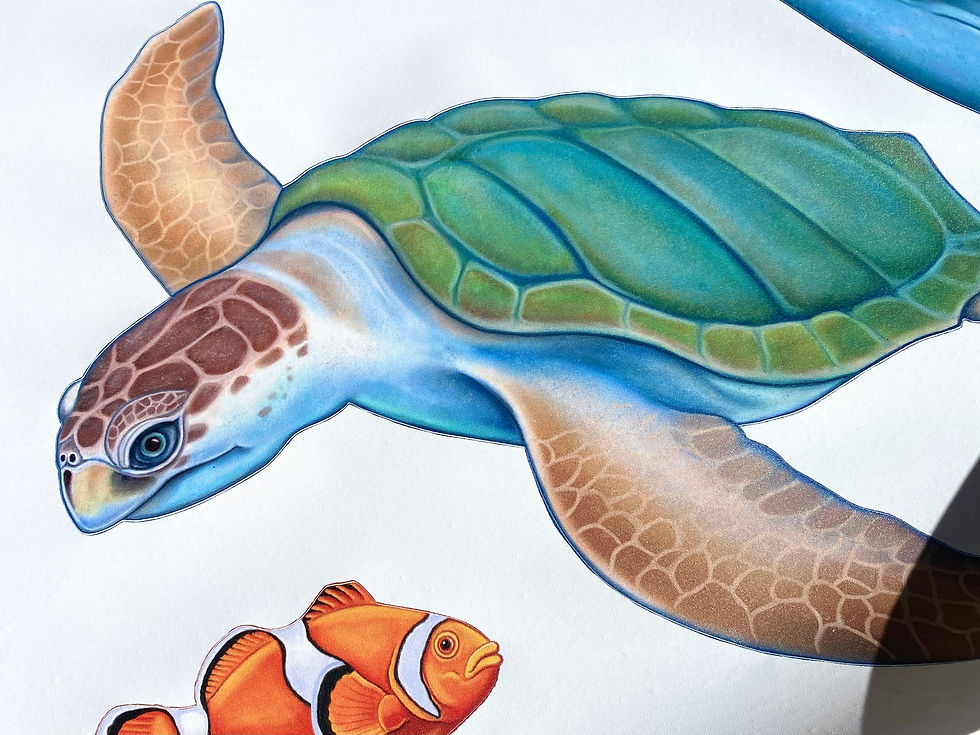 Thumbnail: Dolphins and Friends - Wall Decals Set