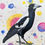 Thumbnail: Magpie 2
