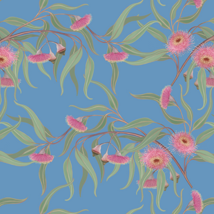 eucalyptus caesia pattern mid.png
