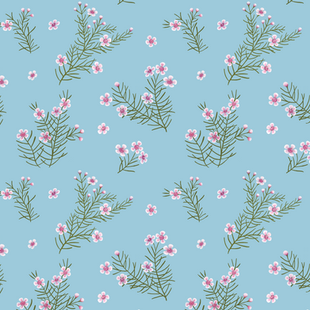 Geraldton wax flowers.png