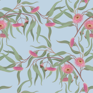 eucalyptus caesia pattern light.png