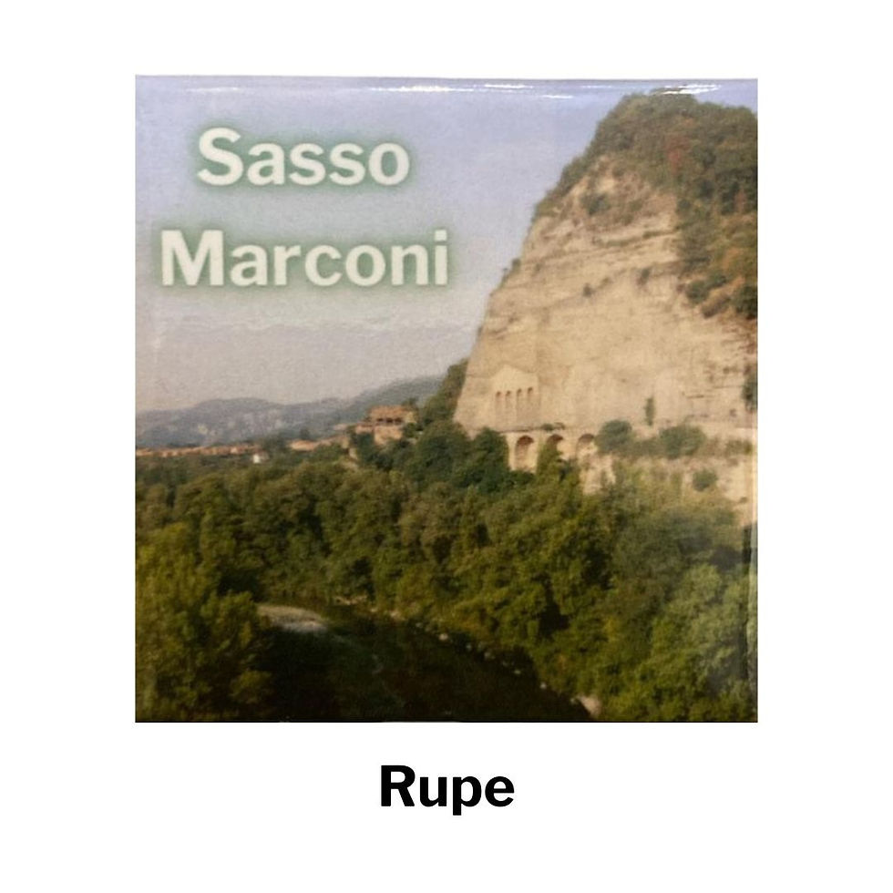 Miniatura: Calamite Sasso Marconi