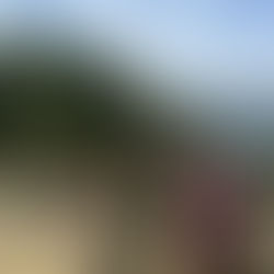 2026: preparati al cammino con i nostri consigli