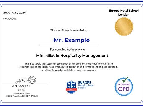New Mini MBA.png