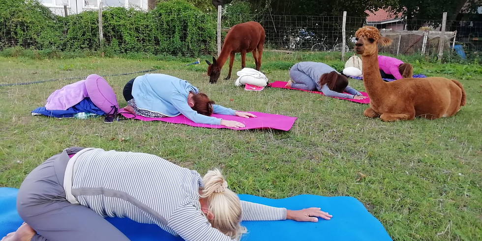 Kuscheliges Outdoor Yoga (2)