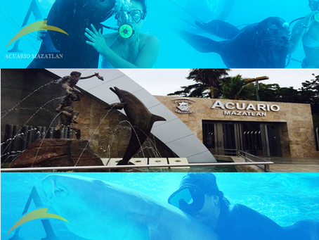 Acuario Mazatlán