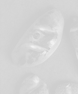 Teyzem Borek4950_edited_edited.jpg