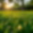 bradley845659_Realistic_photography_Outdoors_on_the_lawn_Side_b_836d8f4d-9cd9-49fb-b9dd-fc