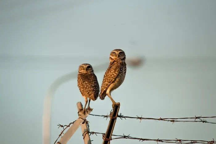 Understanding Conflict Styles: Navigating Relationships with Insight