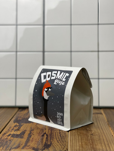 COSMIC GOOSE vol.2