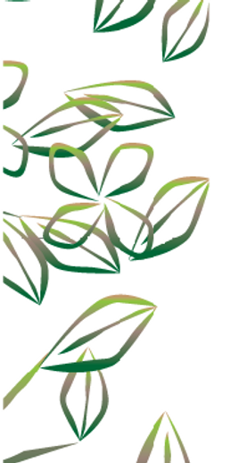 leaves left.png