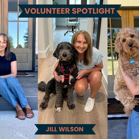 Volunteer, rescue, doodle