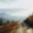 camino del campo