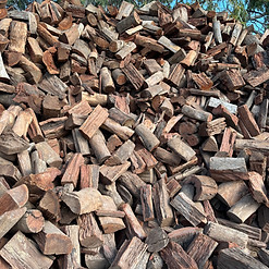 REDGUM.jpg