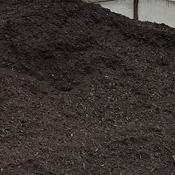 water saver mulch.jpg