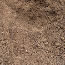 GARDEN SOIL.jpg