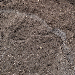 Garden compost_edited.jpg