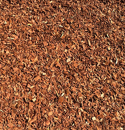REDGUM CHIP.jpg