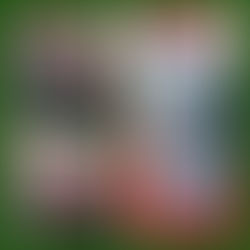 The risk of not taking risks