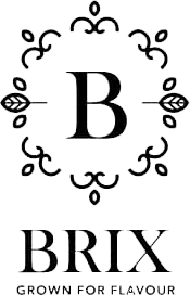 Brix_logo.gif