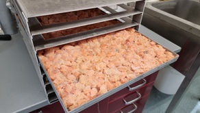 Zatěžkávací zkouška lososem