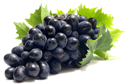 UVAS