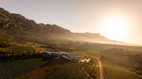 Panorámica Bodegas Macán
