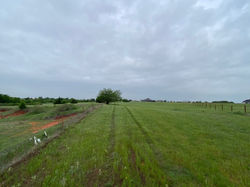 5 Acres - Lorraine Drive11