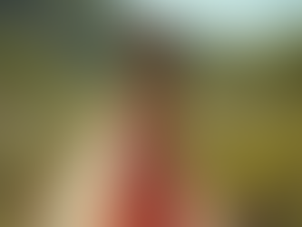 Photography Tips for Showcasing Fashion Designs Effectively