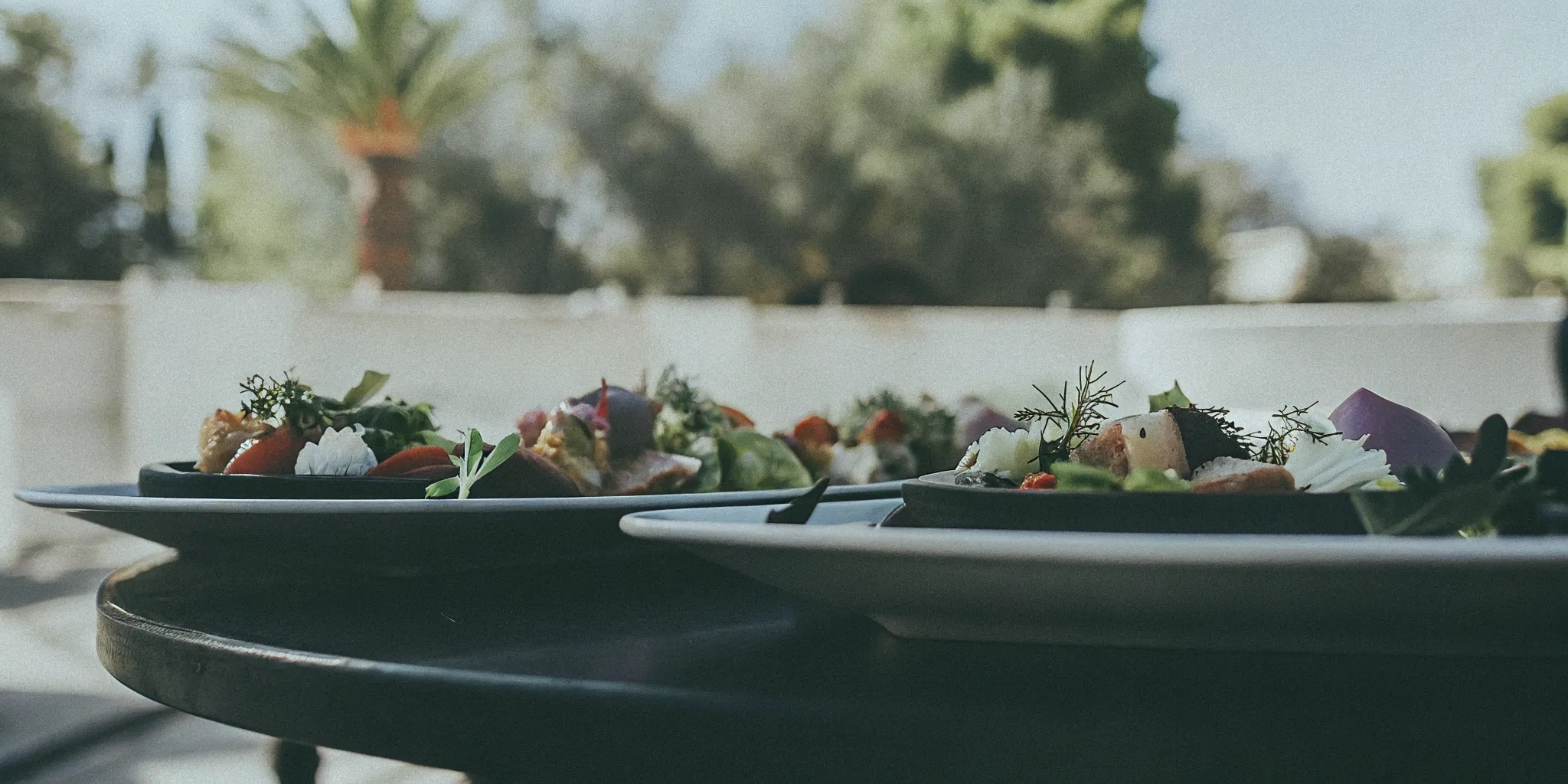 Beautifully plated seasonal catering dishes at a San Diego outdoor event