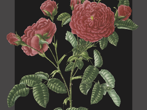 #18 The Forensic Alchemist: Deborah Frincke