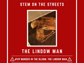 #29 Murder in the Bloom: The Lindow Man II
