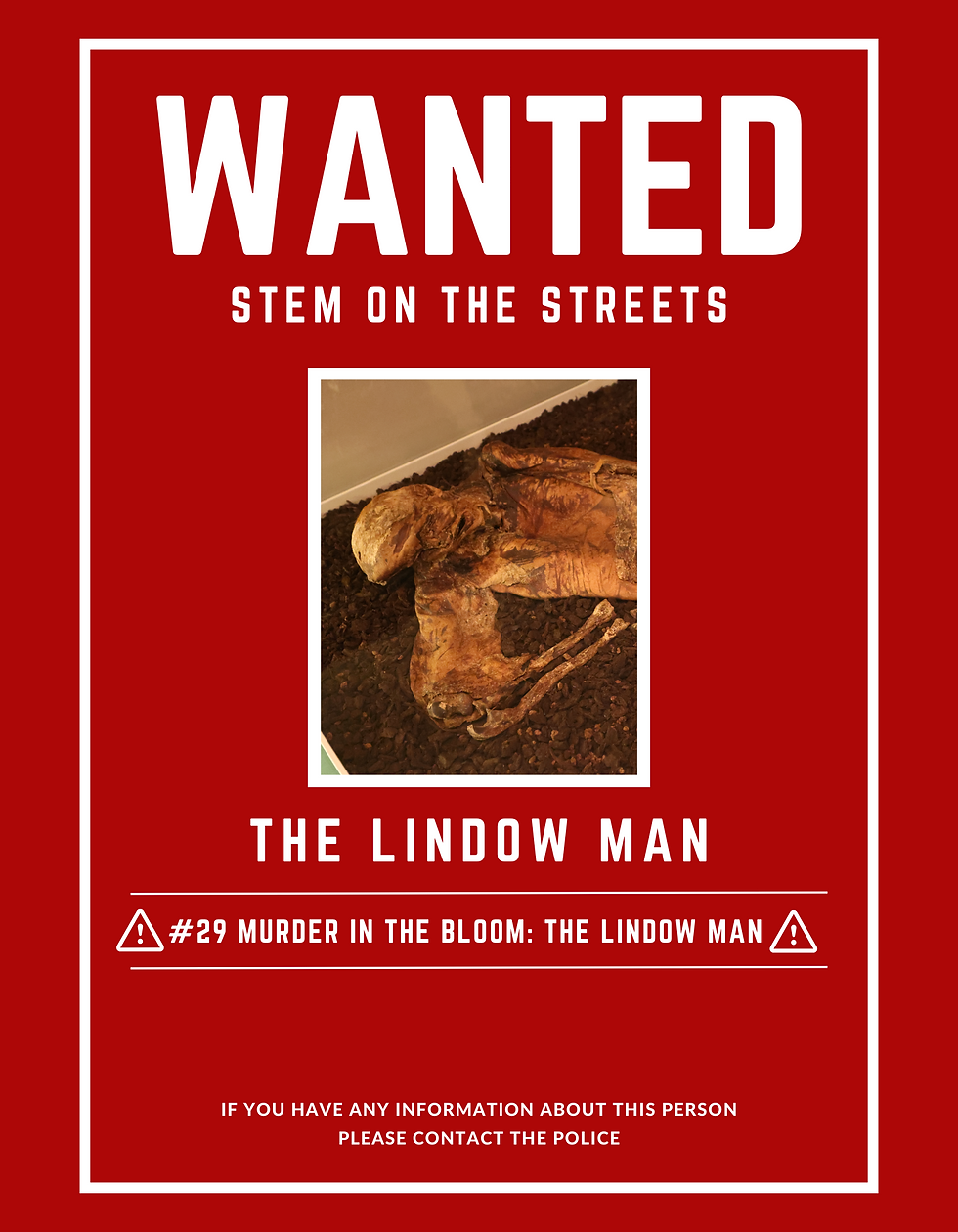 #29 Murder in the Bloom: The Lindow Man II