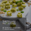 Thumbnail: Tortelloni Pasta Class